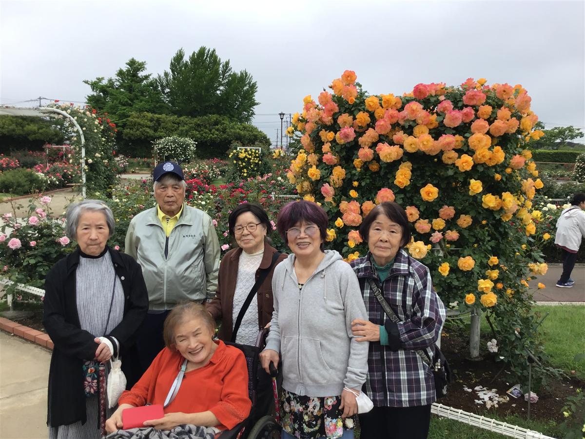 バラ園ドライブ