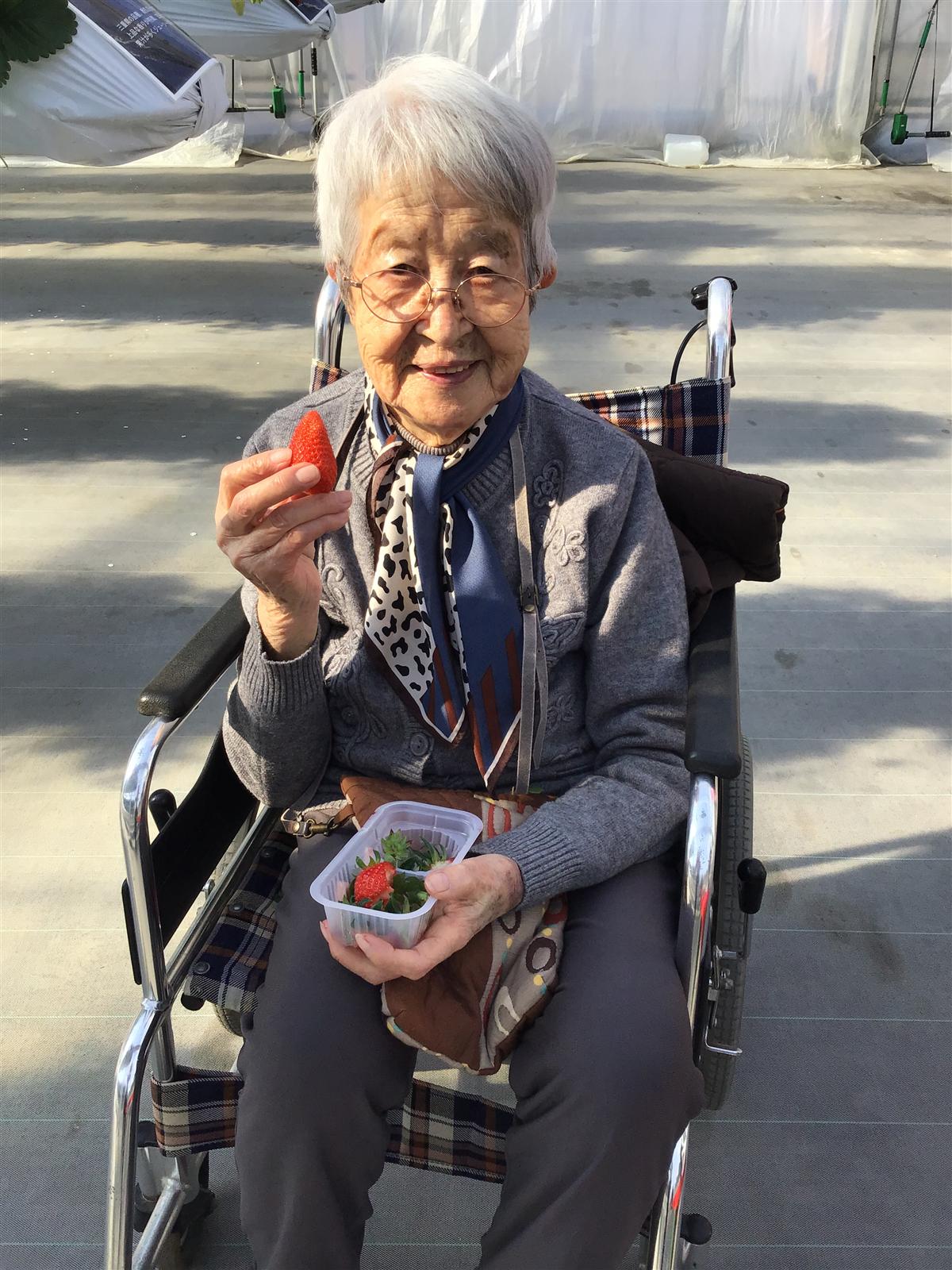 いちご狩りの様子